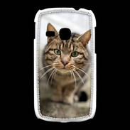 Coque Samsung Galaxy Young Portrait de chat PR