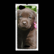 Coque Sony Xpéria J Chien labrador chocolat 3