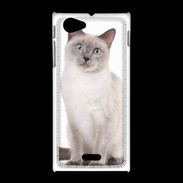 Coque Sony Xpéria J Chat siamois 25