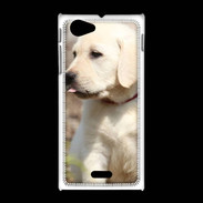 Coque Sony Xpéria J Adorable labrador