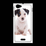 Coque Sony Xpéria J Jack russel terrier puppy 820