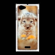 Coque Sony Xpéria J Lionceau d'Afrique