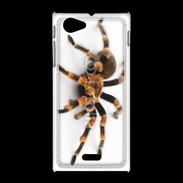 Coque Sony Xpéria J Araignée tarentule