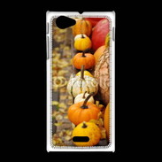 Coque Sony Xpéria J Citrouilles