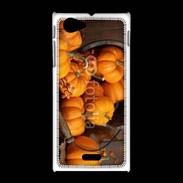 Coque Sony Xpéria J Citrouilles 2