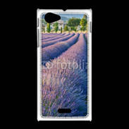 Coque Sony Xpéria J La lavande en Provence