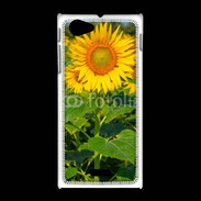Coque Sony Xpéria J Champs de Tournesol