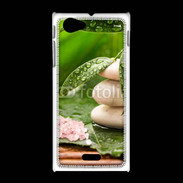 Coque Sony Xpéria J Galet et feuilles mouillées