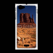 Coque Sony Xpéria J Monument Valley USA