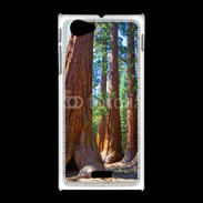 Coque Sony Xpéria J Séquoias parc du Yosemite 