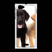 Coque Sony Xpéria J Chiot labrador