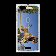 Coque Sony Xpéria J Chien agility