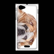 Coque Sony Xpéria J Bulldog anglais 2