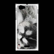 Coque Sony Xpéria J Chiot Husky