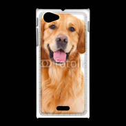 Coque Sony Xpéria J Chien Golden