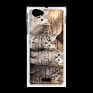 Coque Sony Xpéria J Chaton gris 2