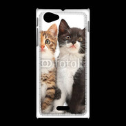 Coque Sony Xpéria J Duo de chatons