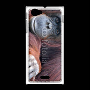 Coque Sony Xpéria J Singe adulte 