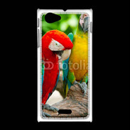 Coque Sony Xpéria J Couple de perroquets