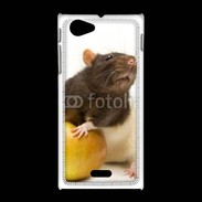 Coque Sony Xpéria J Rat bicouleur