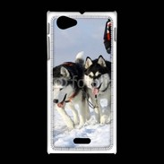 Coque Sony Xpéria J Chien de traineau