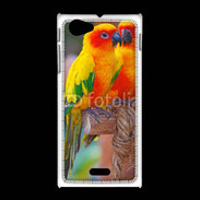 Coque Sony Xpéria J Couple d'oiseaux colorés
