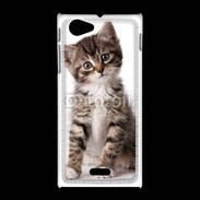 Coque Sony Xpéria J Chaton gris 3