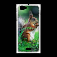 Coque Sony Xpéria J Ecureuil