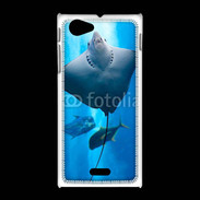 Coque Sony Xpéria J Raie Manta