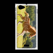 Coque Sony Xpéria J Poulain dans un champs