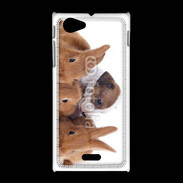 Coque Sony Xpéria J Gardien de lapins