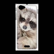 Coque Sony Xpéria J Raton laveur dans un arbre