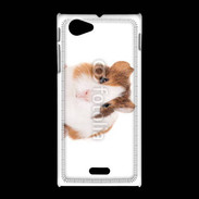 Coque Sony Xpéria J Cochon d'inde 2