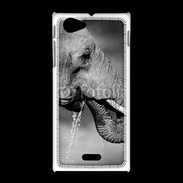 Coque Sony Xpéria J Elephant d'Afrique en noir et blanc