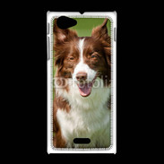 Coque Sony Xpéria J Chien Colley marron et blanc