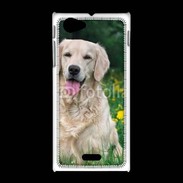 Coque Sony Xpéria J Portrait de Chien Golden 5