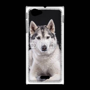 Coque Sony Xpéria J Chien Husky de Sibérie