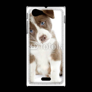 Coque Sony Xpéria J Chiot Colley marron et blanc