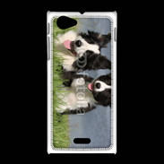 Coque Sony Xpéria J Chien Border Collie noir et blanc