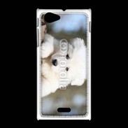 Coque Sony Xpéria J Chiot berger blanc suisse