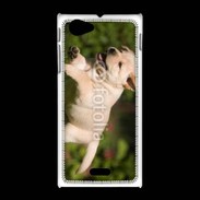 Coque Sony Xpéria J Chiot labrador 3