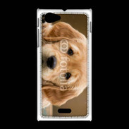 Coque Sony Xpéria J Chiot labrador golden 2