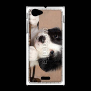 Coque Sony Xpéria J Chiot blanc et noir 2