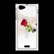 Coque Sony Xpéria J Chiot Golden retriever 2