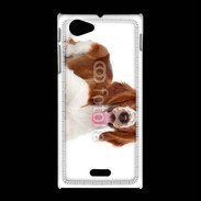 Coque Sony Xpéria J Chien Springer Spaniel