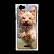 Coque Sony Xpéria J Yorkshire terrier 6