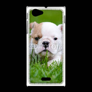 Coque Sony Xpéria J Petit Bulldog anglais