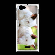 Coque Sony Xpéria J Chien Bull terrier anglais 1