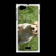 Coque Sony Xpéria J Mignon petit labrador