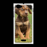 Coque Sony Xpéria J Chiot marron 2